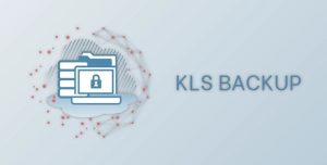 Kls Backup Professional 11.0.1.8 Crack + Keygen 2023