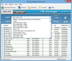 File Scavenger 6.3 Crack + Clave De Licencia Más Reciente